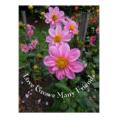 Poster Jardin rose (Devant)