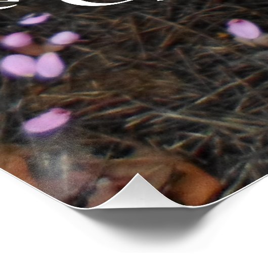 Poster Jardin rose (Coin)