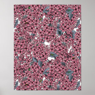 Poster Jardin rose Lilac