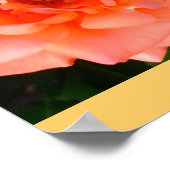 Poster Jardin rose Mod Chic Classal Flores (Coin)