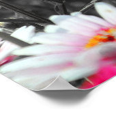 Poster Jardin rose noir Monochrome (Coin)