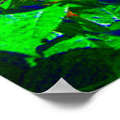 Poster Jardin Rose psychédélique (Coin)