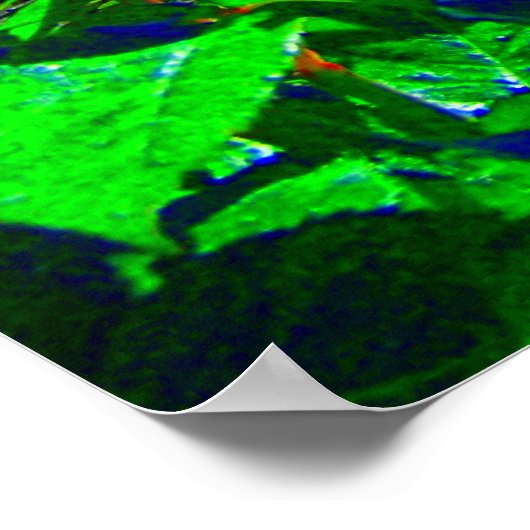 Poster Jardin Rose psychédélique (Coin)