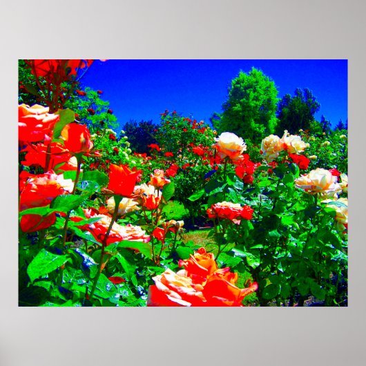 Poster Jardin Rose psychédélique (Devant)