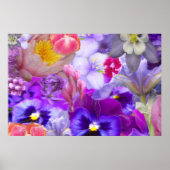 Poster Jardin Rotary (Devant)