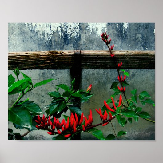 Poster Jardin rustique Floral (Devant)
