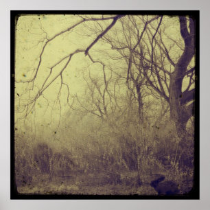 Poster Jardin secret