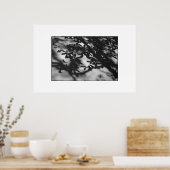 Poster Jardin secret (Cuisine)