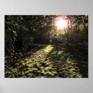 Poster Jardin Sunshine Imprimer