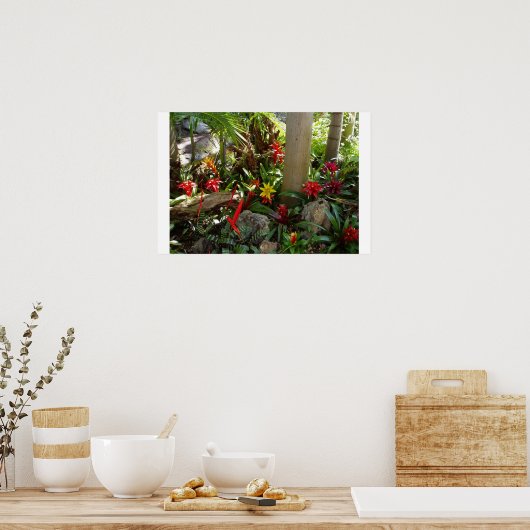 Poster Jardin tropical (Cuisine)