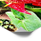 Poster Jardin tropical à fleurs rouges (Coin)