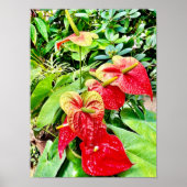 Poster Jardin tropical à fleurs rouges (Devant)