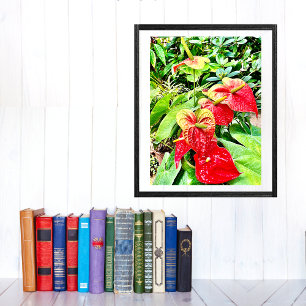 Poster Jardin tropical à fleurs rouges