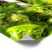 Poster Jardin tropical sous verre (Coin)