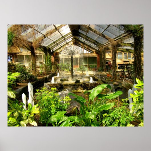 Poster Jardin tropical sous verre (Devant)