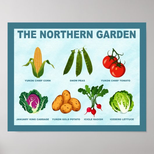 Poster Jardin végétal du Nord (Devant)
