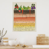 Poster Jardin végétal sol couches de terre décor de cuisi (Cuisine)