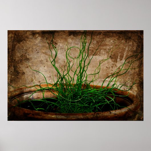 Poster Jardin vert (Devant)