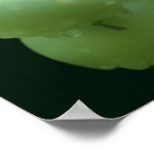 Poster Jardin Vert Tomates Nature (Coin)