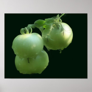 Poster Jardin Vert Tomates Nature