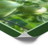 Poster Jardin vert Tomates Nature Abstraite (Coin)