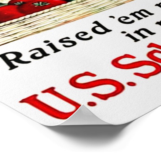 Poster Jardin Victory (Coin)