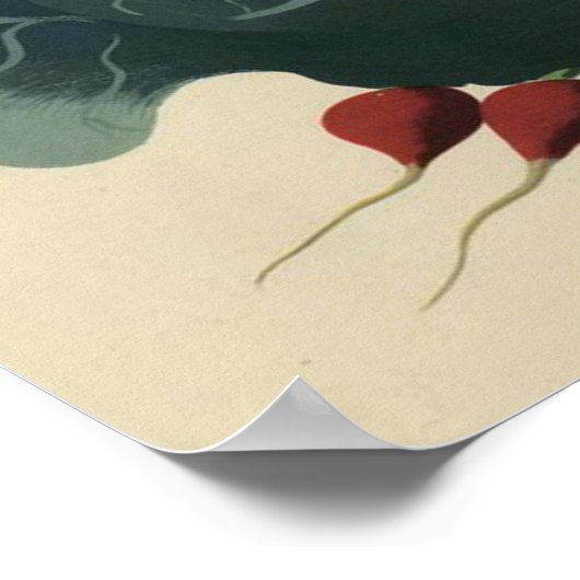 Poster Jardin Victory (Coin)