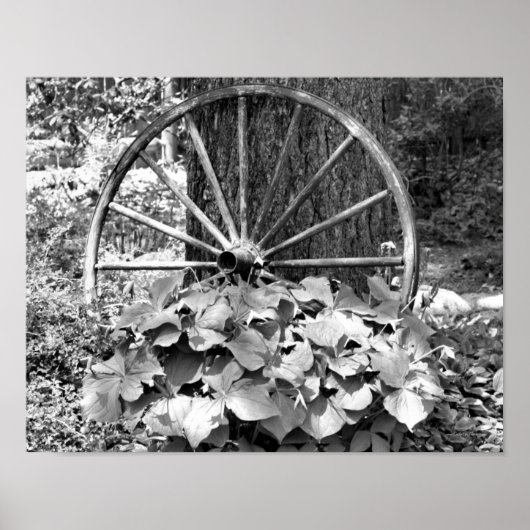 Poster Jardin Vieux Wagon Roue Noir et Blanc (Devant)