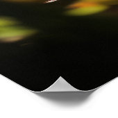 Poster Jardin zen Nature paisible (Coin)