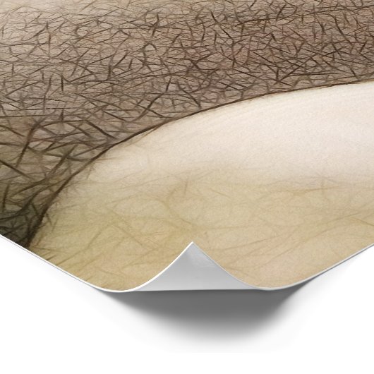 Poster Jardin Zen Rock (Coin)