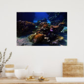 Poster JardinCorail (Cuisine)