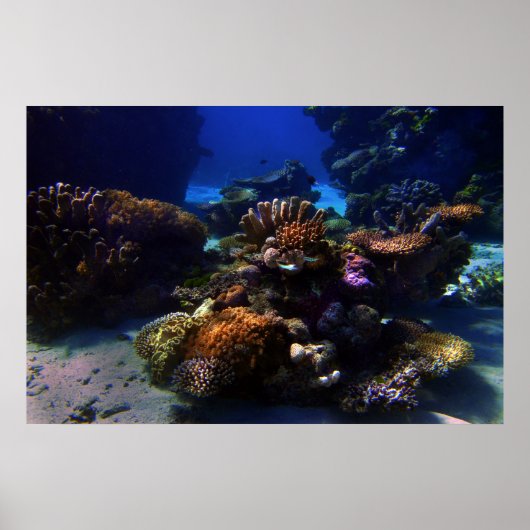 Poster JardinCorail (Devant)