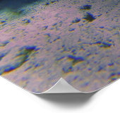 Poster JardinCorail (Coin)