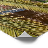 Poster Jardins Bahá'í de Haïfa (Coin)