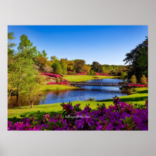 Poster Jardins Bellingrath, Alabama,