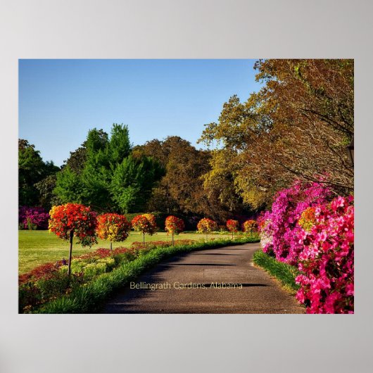 Poster Jardins Bellingrath, Alabama (Devant)