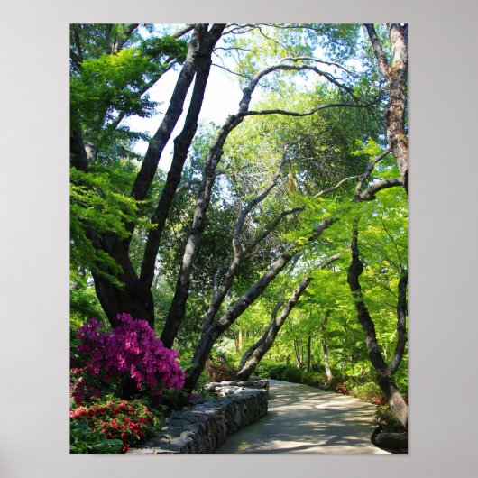 Poster Jardins botaniques, sentier, érables (Devant)