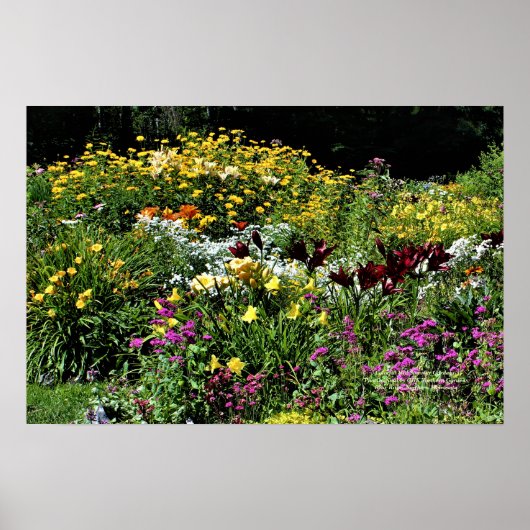 Poster Jardins Colorés En Plein Été ! (Devant)