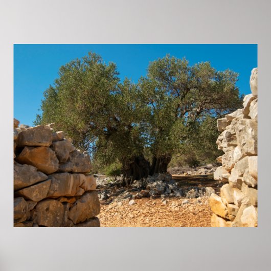 Poster Jardins d'olivier de Lun (Devant)