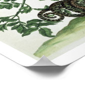 Poster Jasmin : avec serpent, papillon de nuit, caterpill (Coin)
