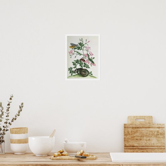 Poster Jasmin : avec serpent, papillon de nuit, caterpill (Cuisine)