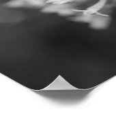 Poster Jasmin Nocturne (Coin)