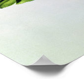 Poster Jasmine, de 'La Guirlande de Julie' (Coin)