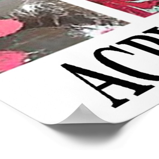 POSTER JASON JENKINS EN DIRECT ! ACRYLIQUE SUR TOUT (Coin)