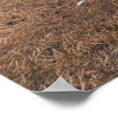 Poster Jasper Alberta Vue Des Trains Et Du Mou À Chenaud (Coin)