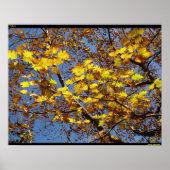 Poster jaune (Devant)