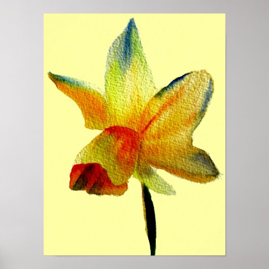 Poster Jaune Daffodique aquarelle ressort art fleur (Devant)