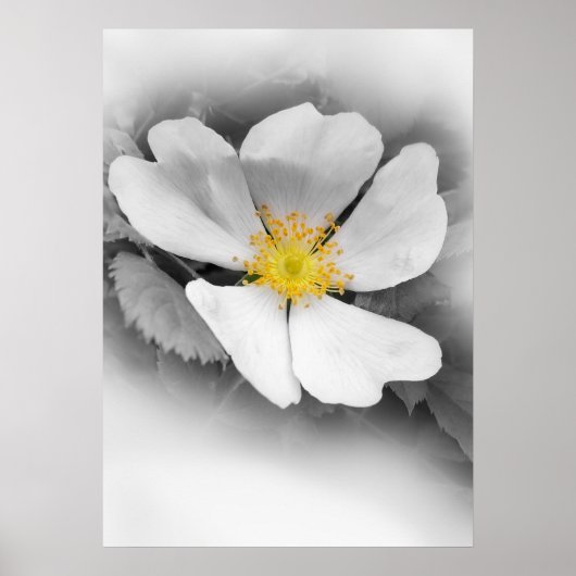 Poster jaune dans les tons gris (Devant)