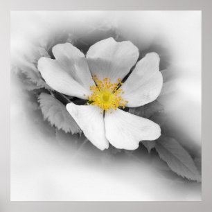 Poster jaune dans les tons gris