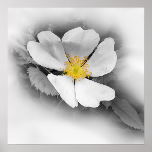 Poster jaune dans les tons gris (Devant)